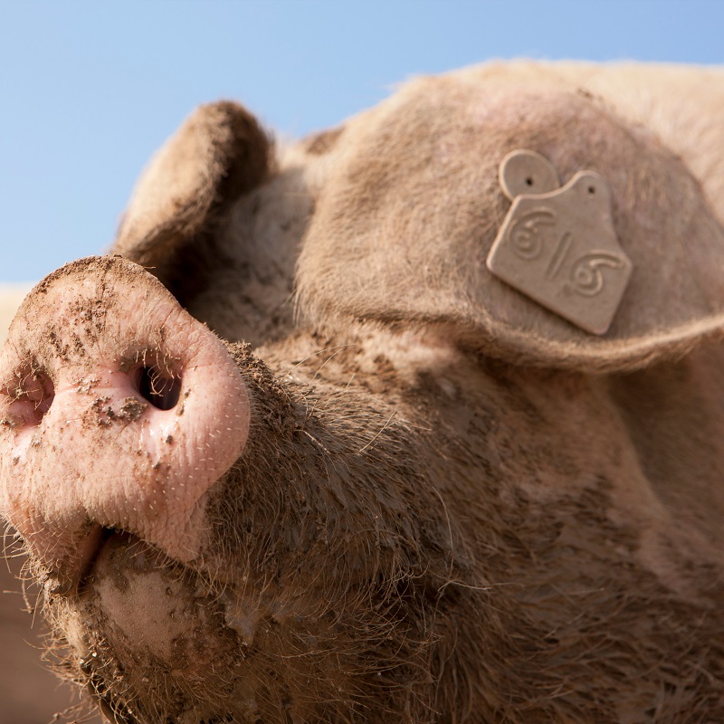 トレーサビリティシステム