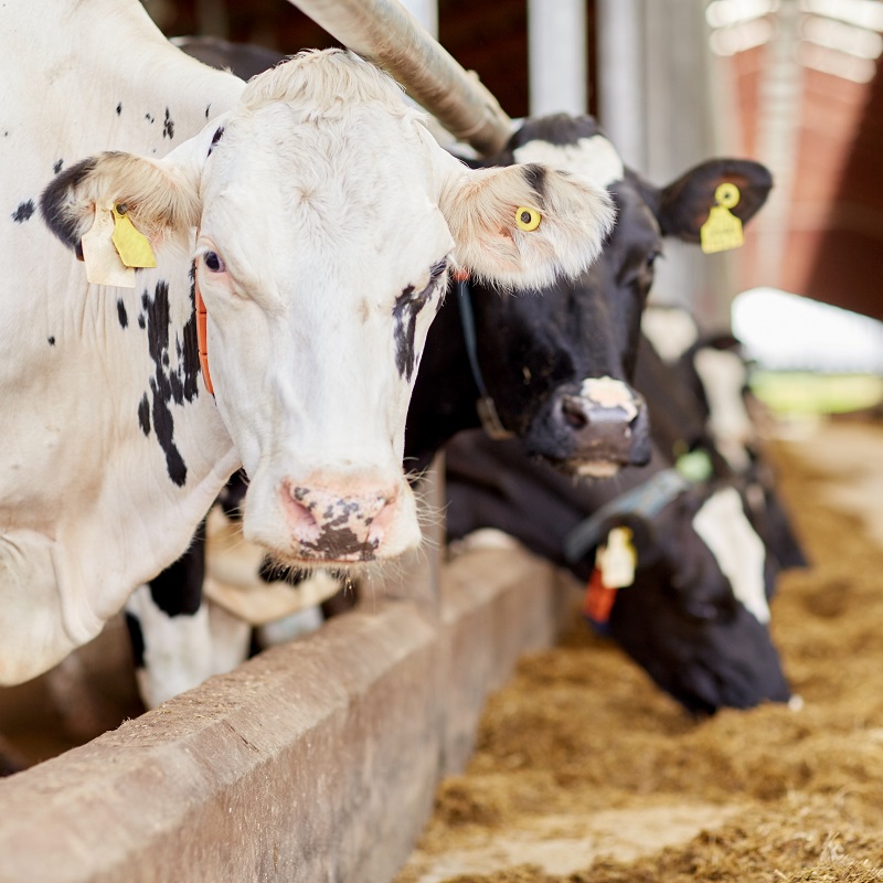 健康管理と盗難防止 - RFID導入事例の実装例