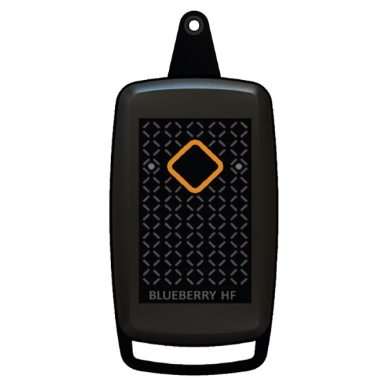 BlueBerry HF MS9 キーチェーン型HF RFIDリーダー